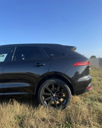 Jaguar F-Pace cena 86000 przebieg: 111000, rok produkcji 2017 z Bydgoszcz małe 106